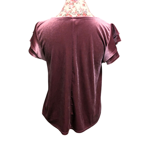 Velvet Ruffle Sleeve Top - Picture 2 of 4